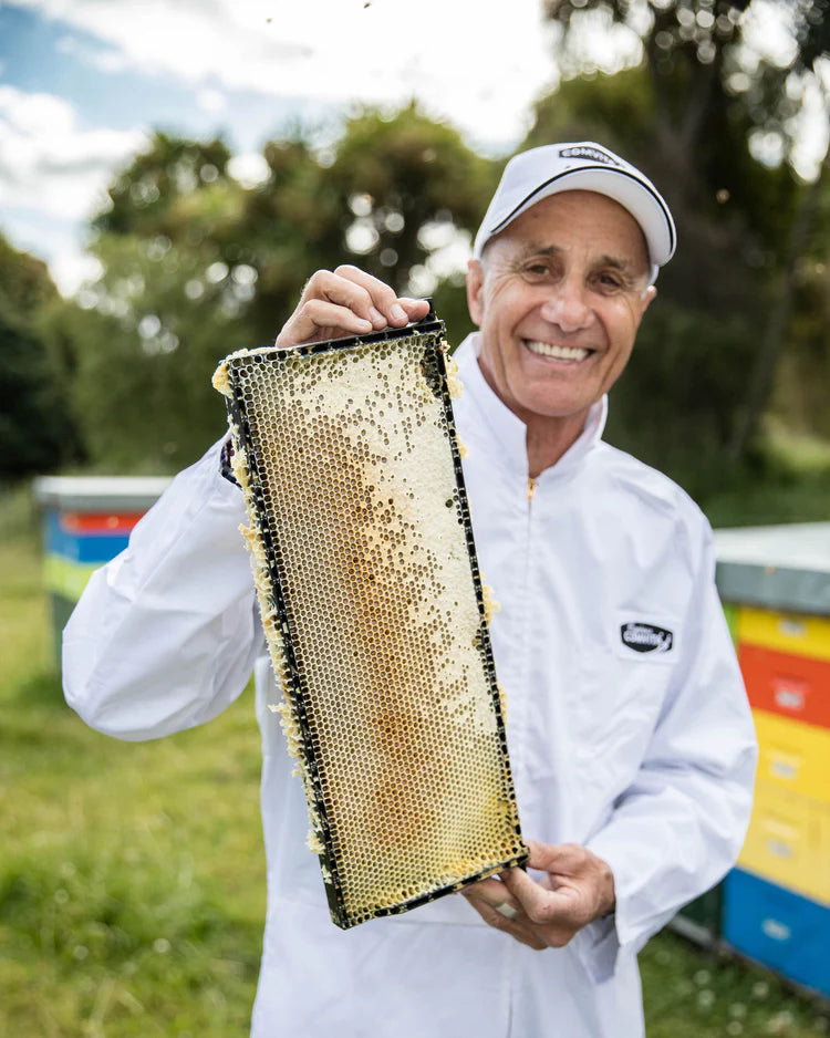 Professional Comvita beekeepers managing hives