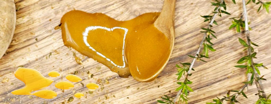 Is Manuka Honey Better Than Normal Honey? A Complete Guide